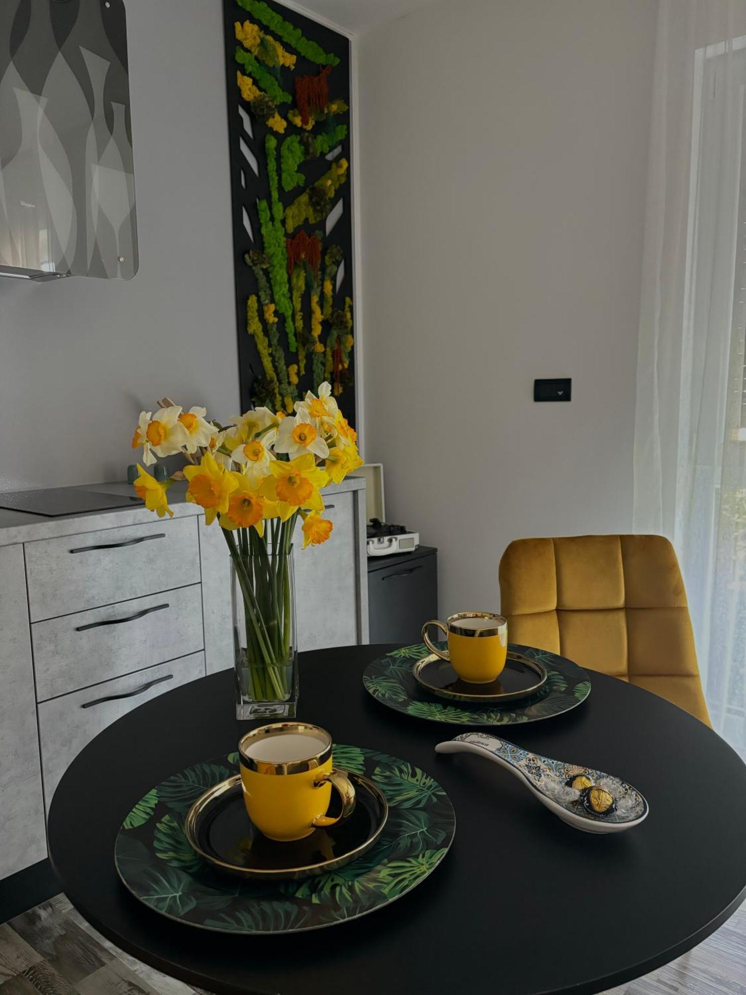 Am Apartments ทิมิชัวรา ภายนอก รูปภาพ